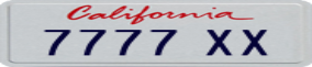 Truck License Plate